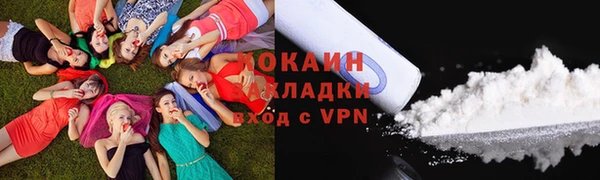 твердый Лабытнанги