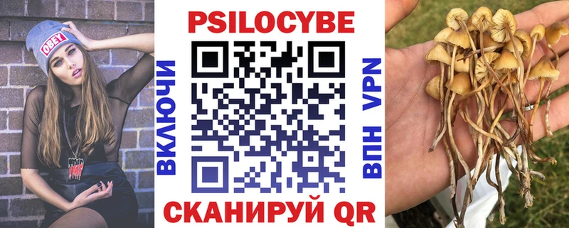 Купить  Заволжск  Галлюциногенные грибы мицелий 